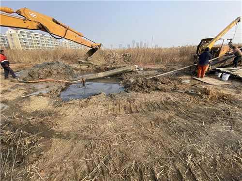 1651886111881705.jpg 8.jpg